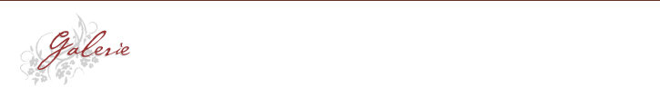 Galerie